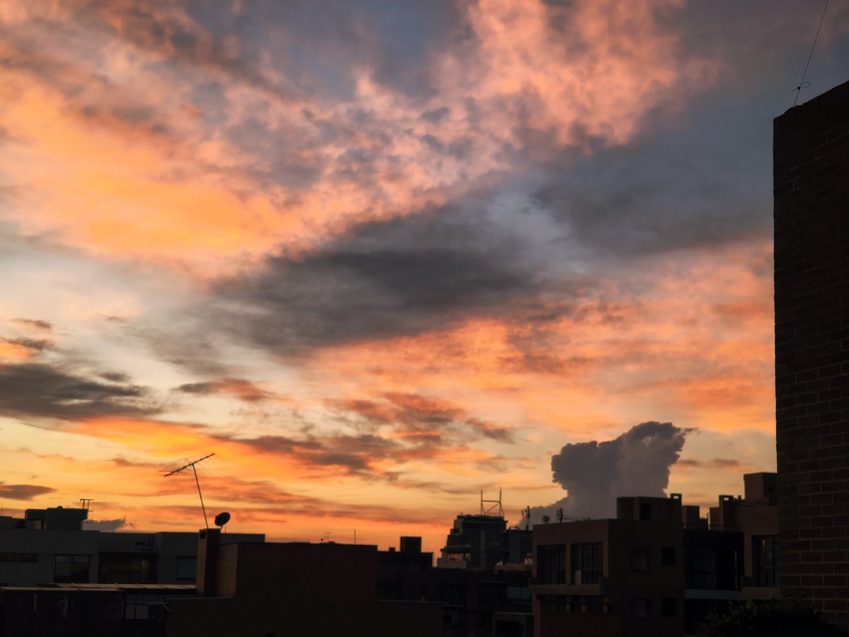 🇨🇴 Sebastián ⚡ 𝚁𝚘𝚓𝚊𝚜 ® tweet media