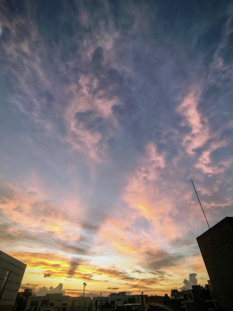 🇨🇴 Sebastián ⚡ 𝚁𝚘𝚓𝚊𝚜 ® tweet media