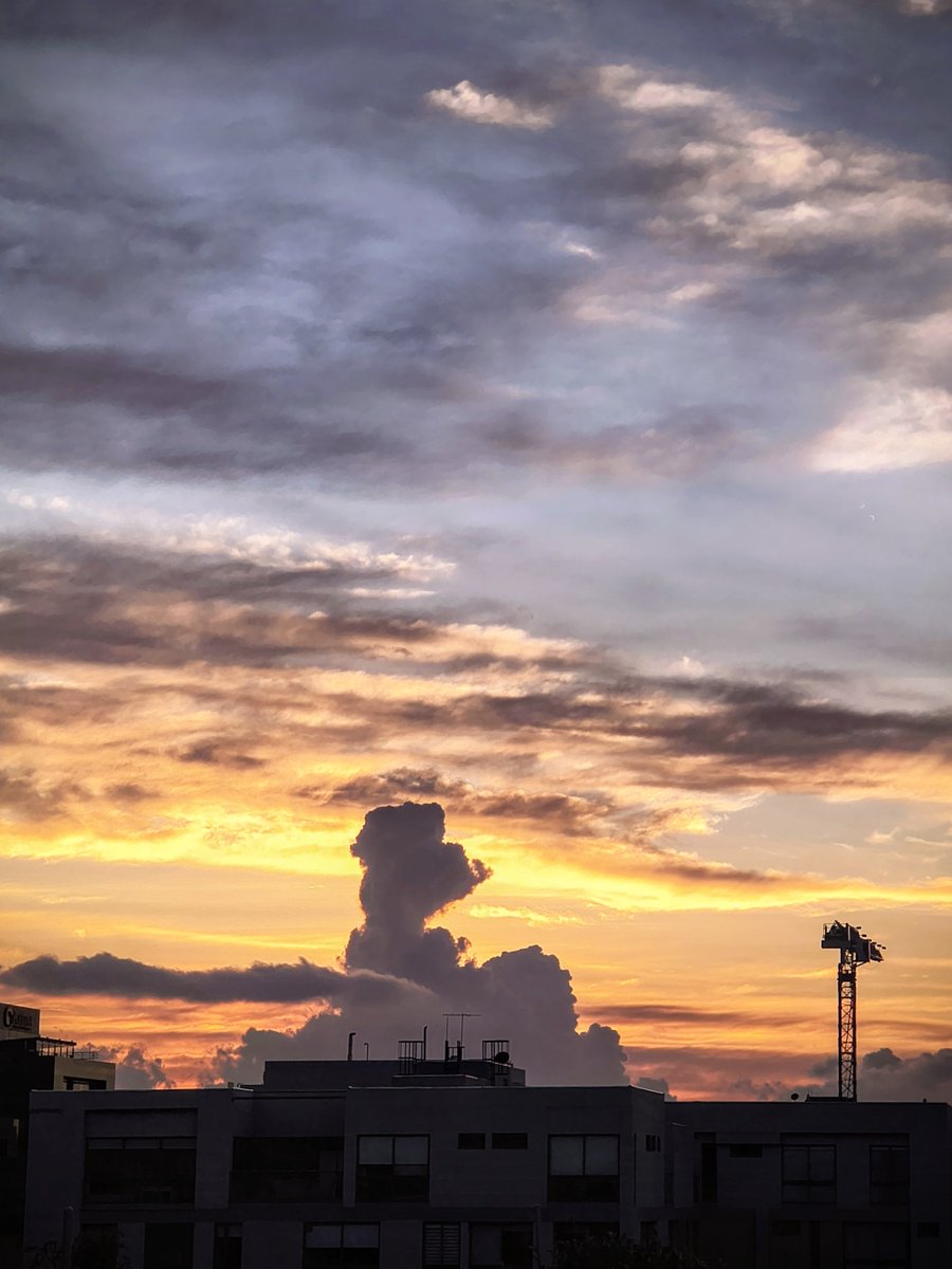 🇨🇴 Sebastián ⚡ 𝚁𝚘𝚓𝚊𝚜 ® tweet media