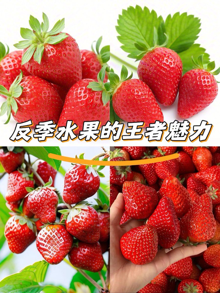 le caroff tweet media