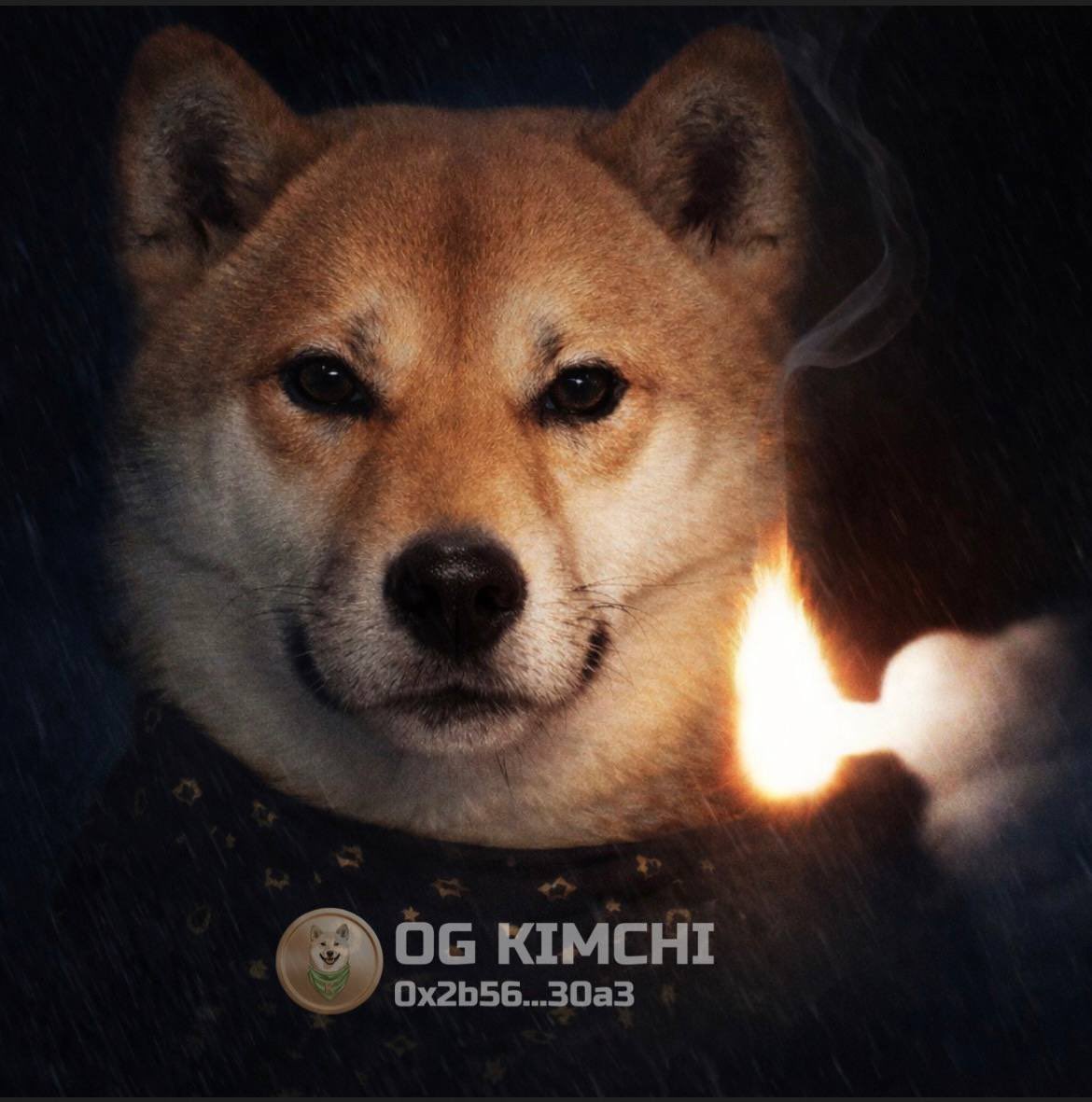 <a href="/BitMartExchange/">BitMart</a> Im very bullish on $KIMCHI 

<a href="/kimchi_cto/">Kimchi CTO</a>