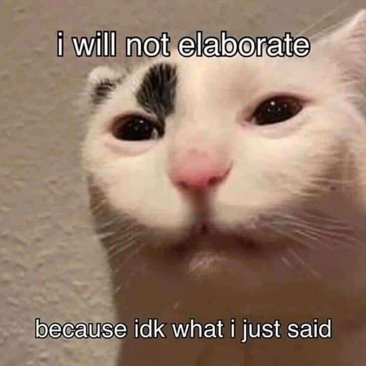 Cat Posted tweet media