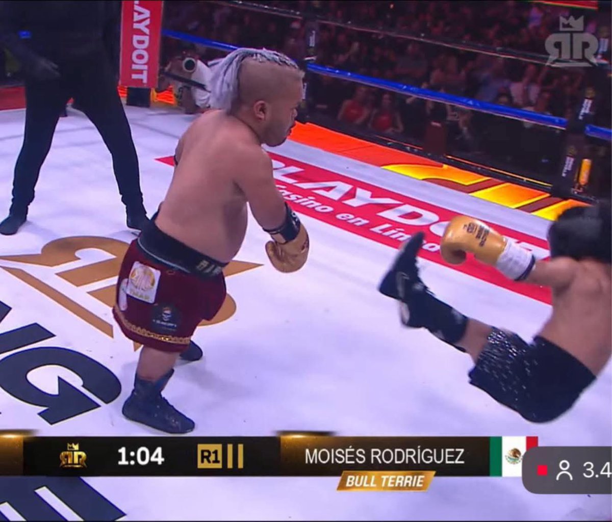 alee6646's tweet photo. El verdadero golpe de la noche 😆 #ringroyale #rr https://t.co/yGOxkrhb2p