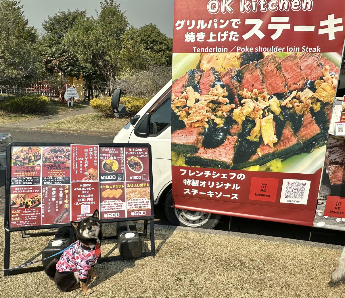 Gin_kuroishiba's tweet photo. 大好きなキッチンカーさん🍖✨
わんこ用牛ヒレステーキ🐮✨
いただきました❤️❤️
#柴犬
#黒柴
#OKkitchen
#ステーキ
#キッチンカー
#わんこ用牛ヒレステーキ https://t.co/FuGGcAN7dS