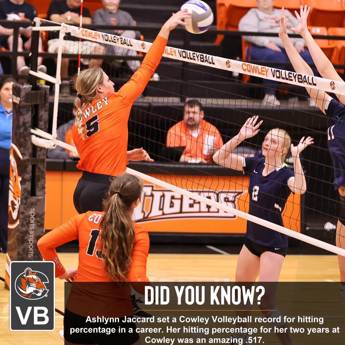 Cowley Volleyball tweet media