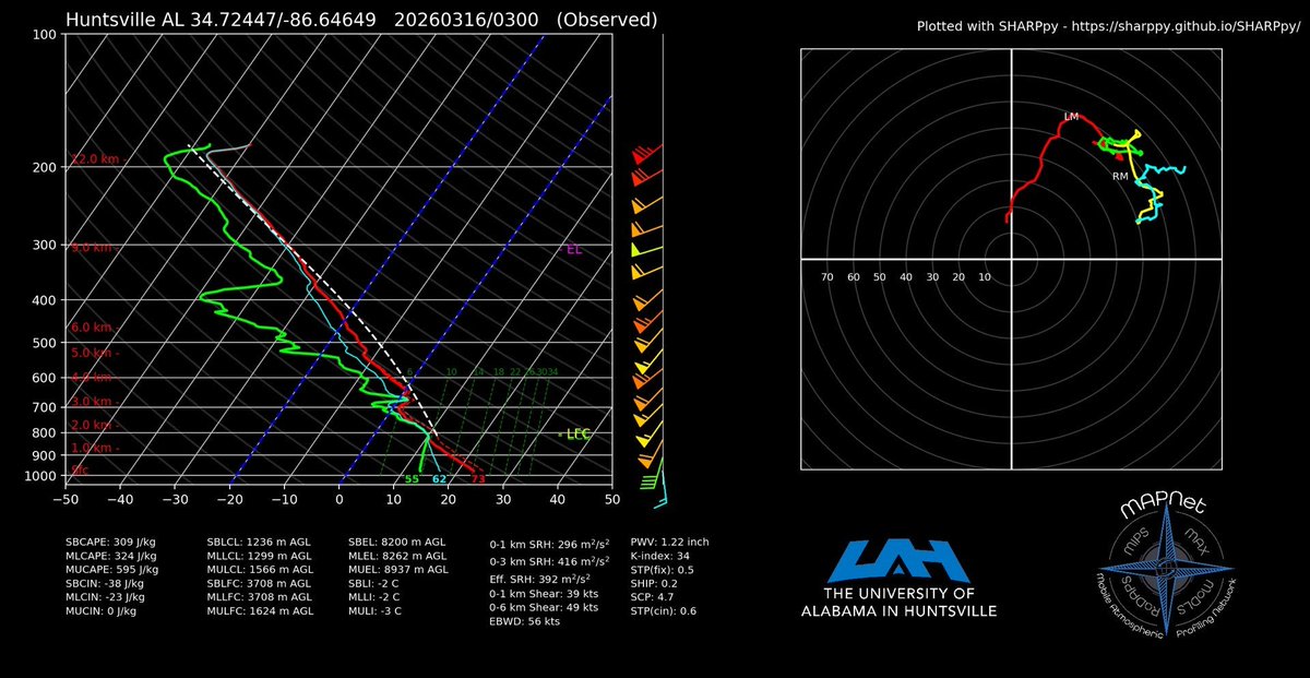 The Lightning Hunter tweet media