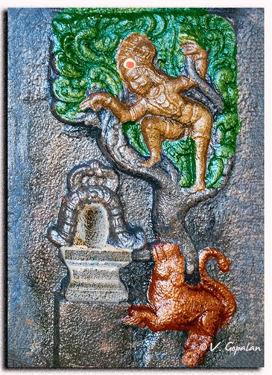 V Gopalan tweet media