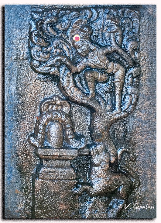 V Gopalan tweet media