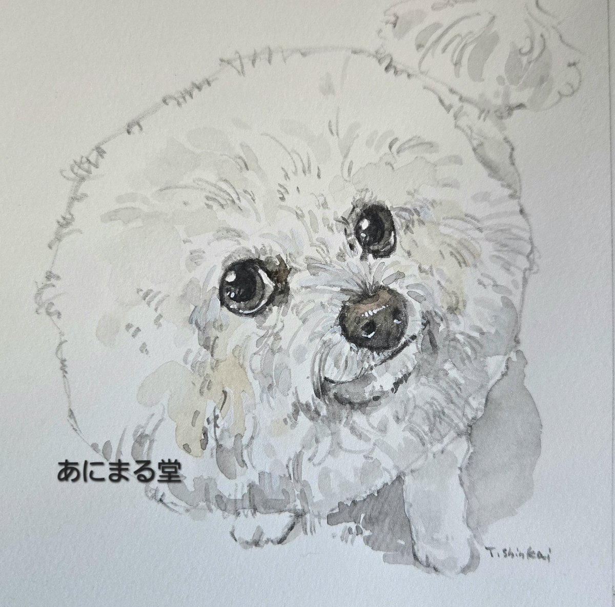 水彩でわんこの似顔絵描いています。
#犬
#似顔絵