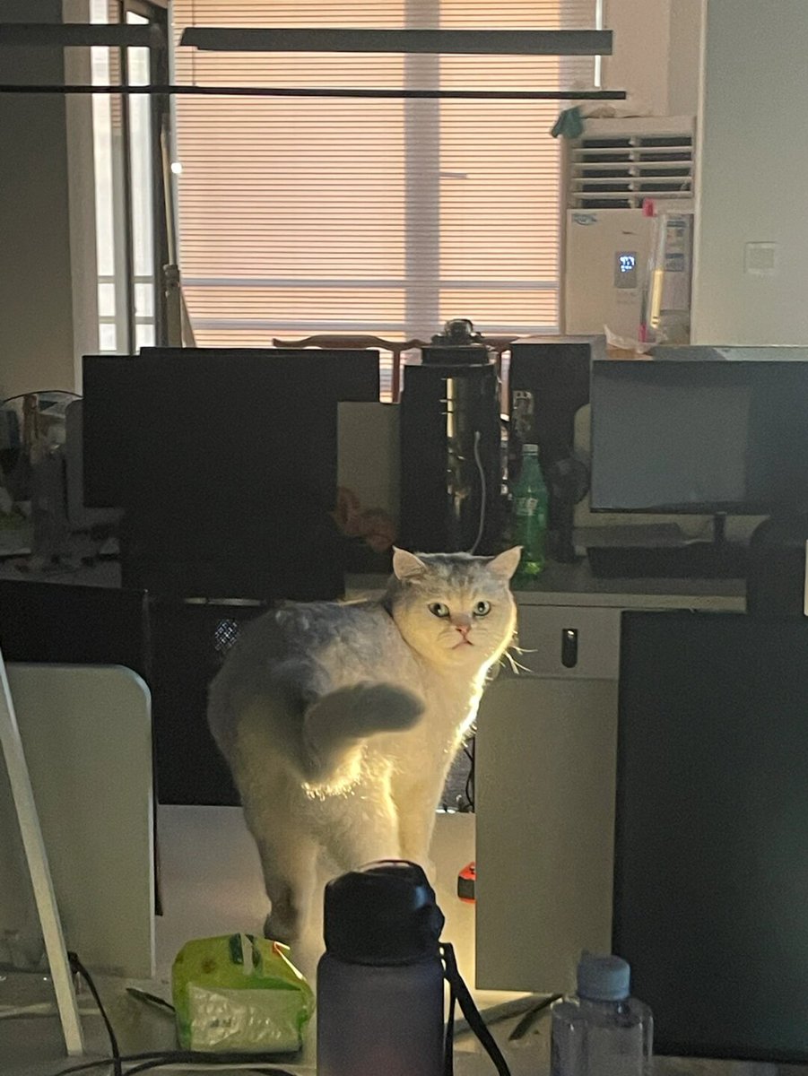 JFEF TKDAFS 🔪 tweet media