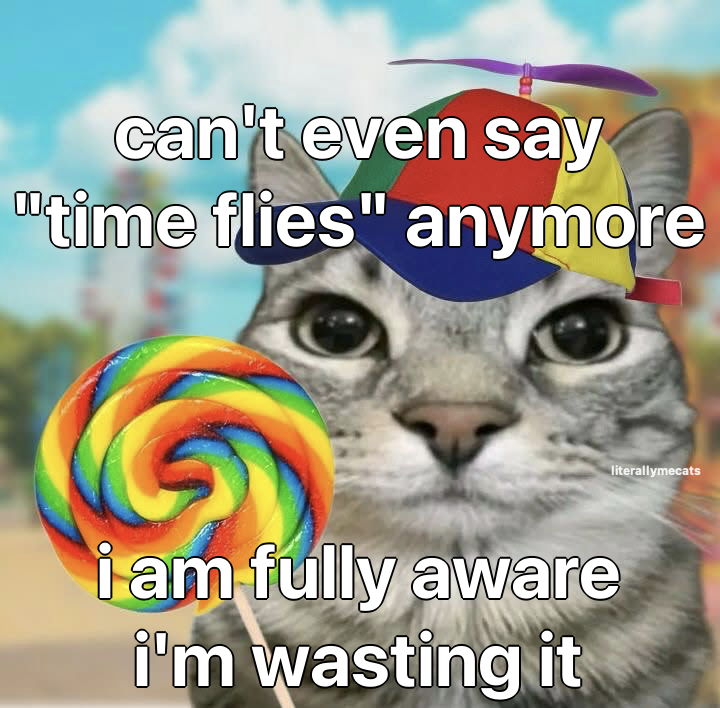 Cat Posted tweet media