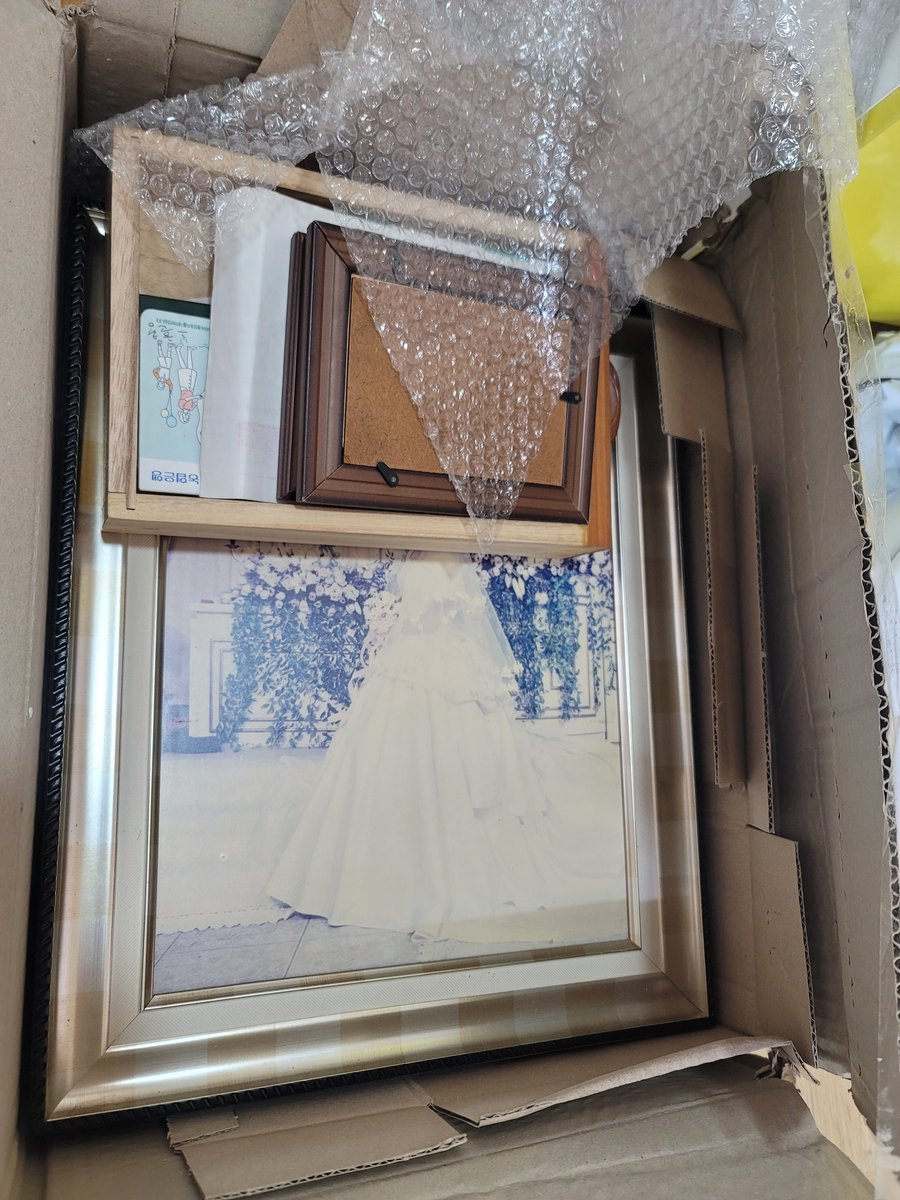 치와와/WAWA tweet media