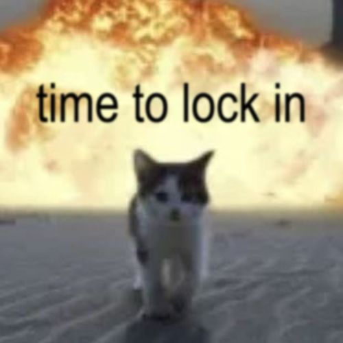 Cat Posted tweet media