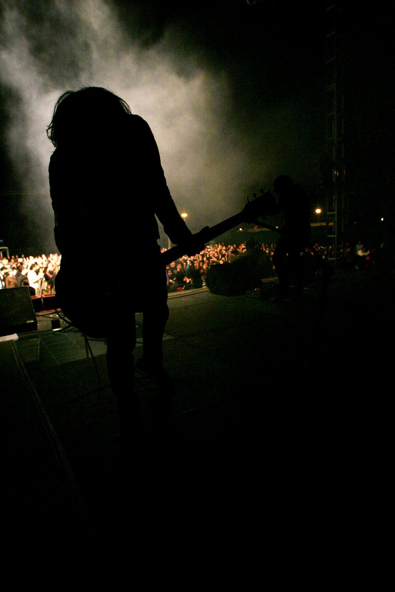 DISIDENTE tweet media