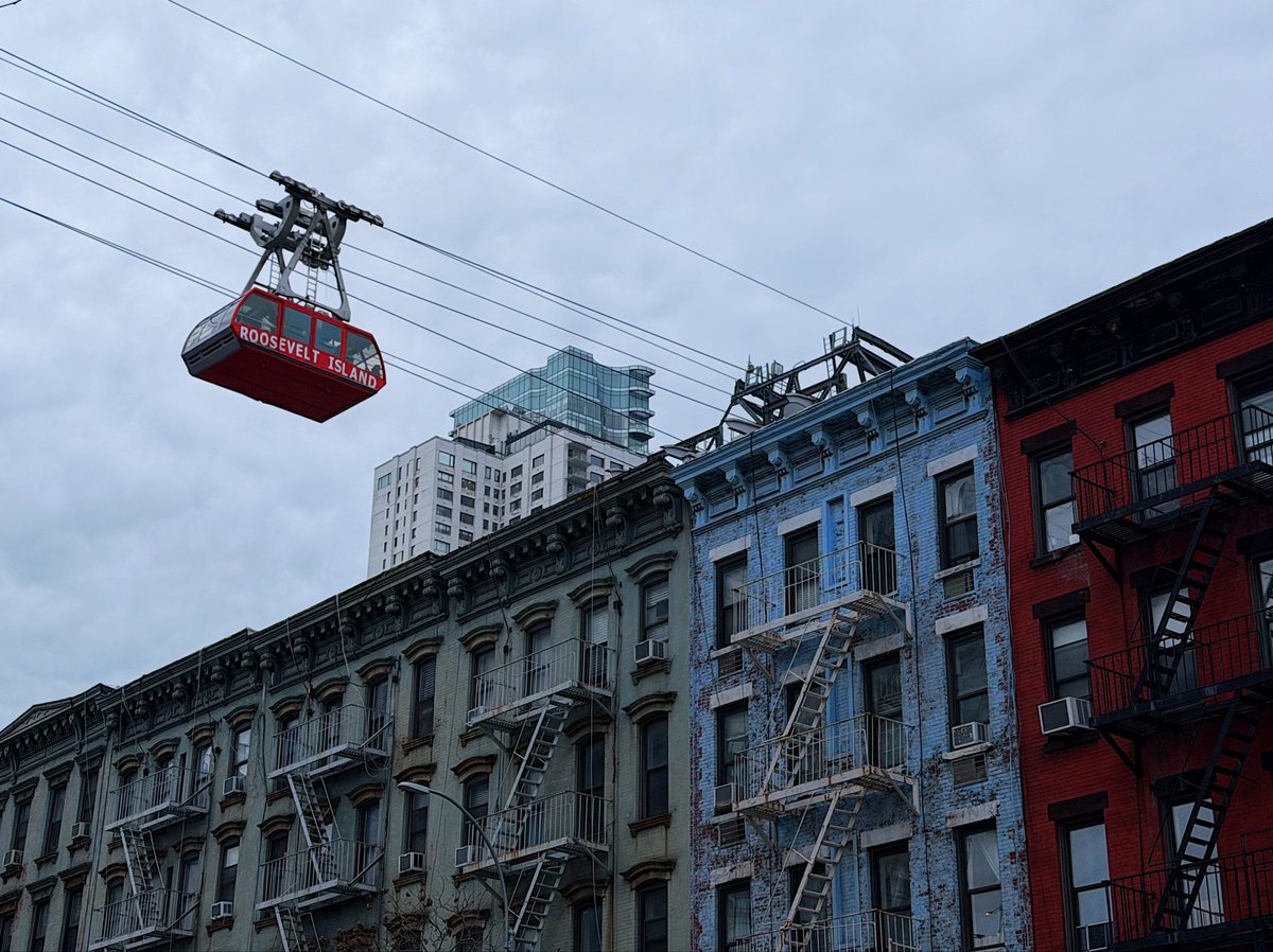 Sarah Yáñez-Richards tweet media