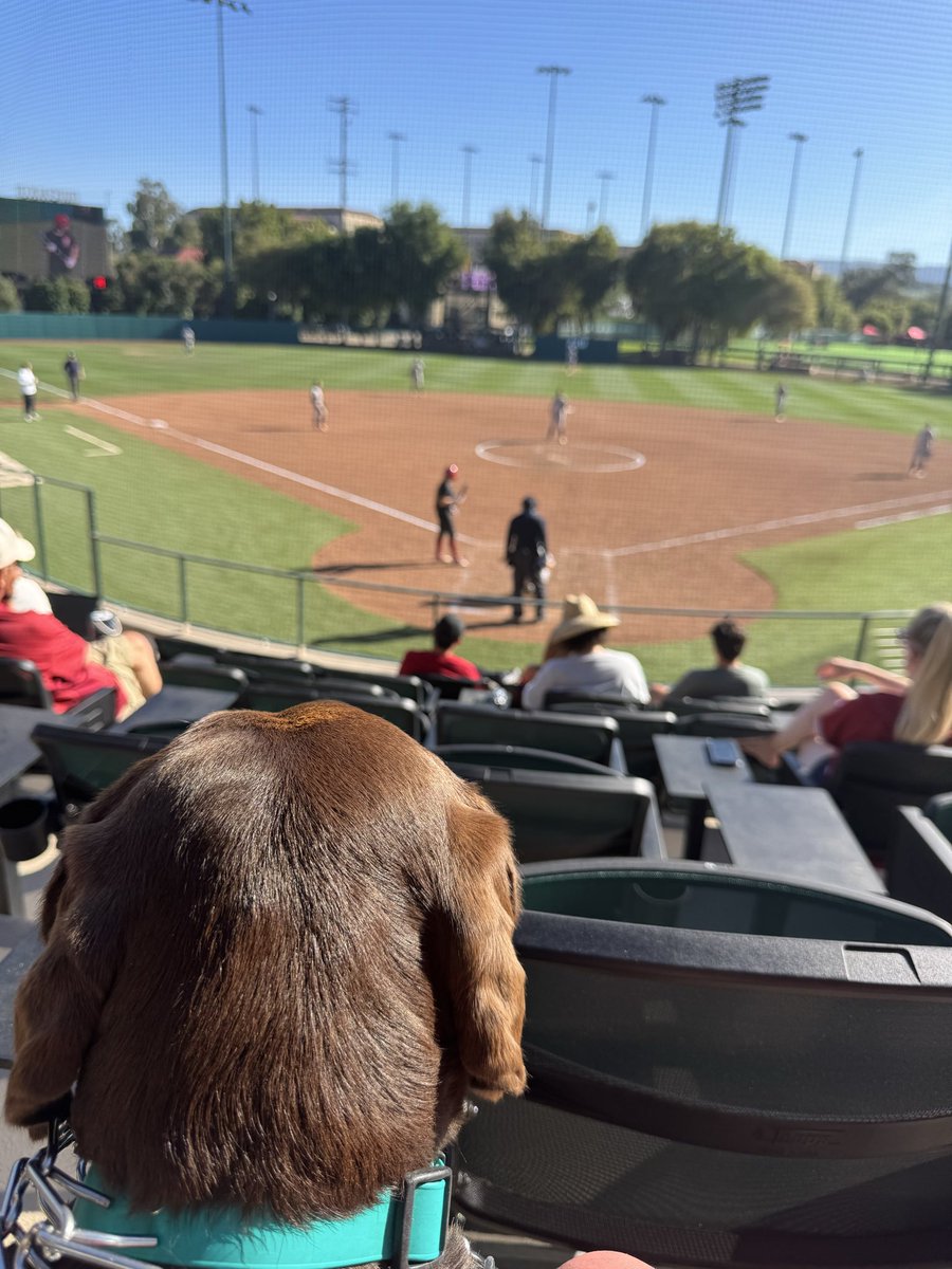 My dad and I (And our dog Oakley) made the 3-hour drive to watch Stanford play Notre Dame in the new stadium.  Awesome Place!!!  

And as a bonus we sat right in front of Derek &amp; Heather Allister from “OnDeck”.  Such nice people to talk with.😀