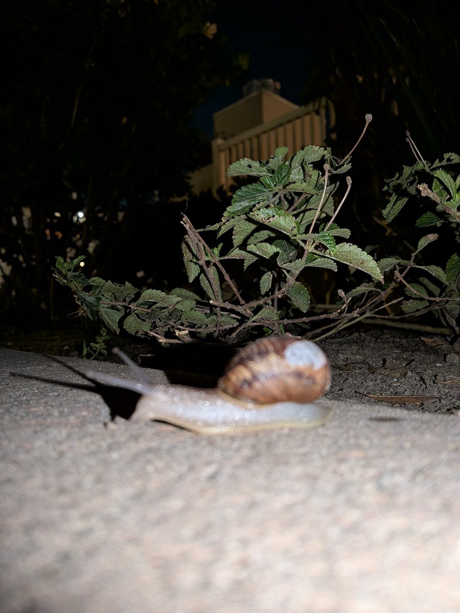 Nate 👊🔥🇺🇸 tweet media