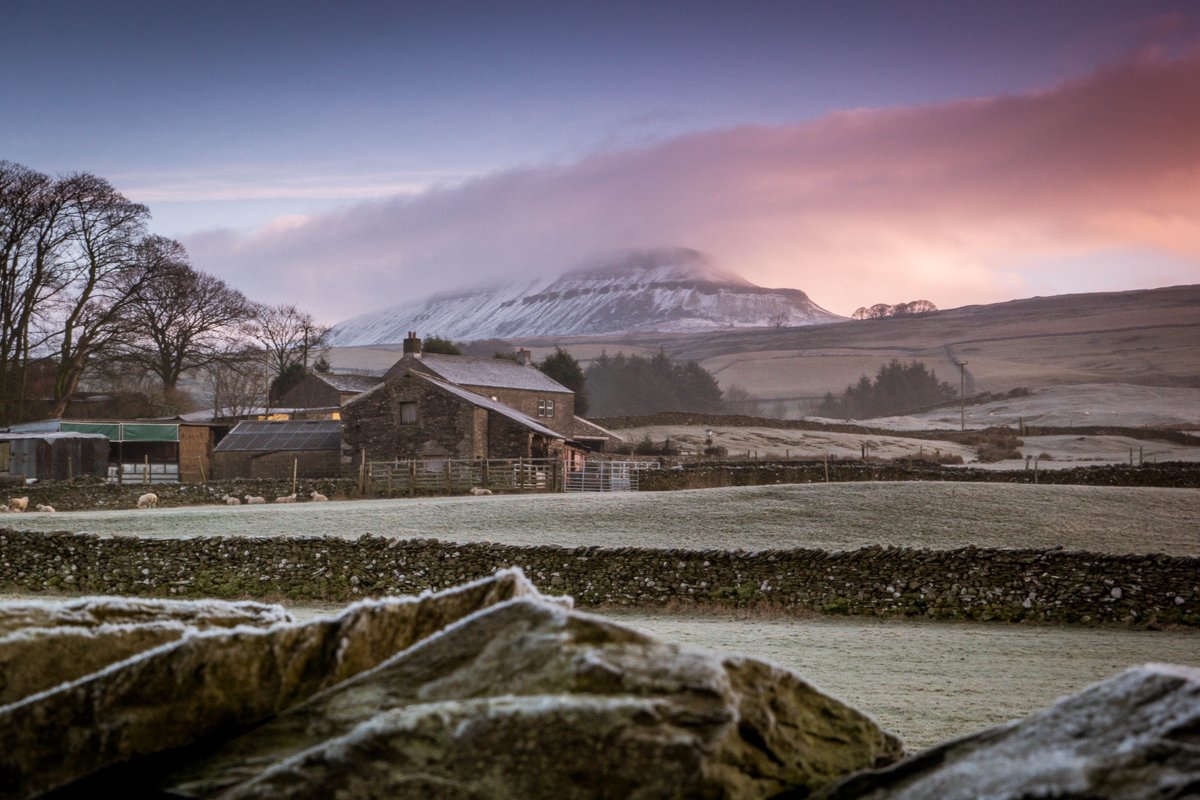 Yorkshire Dales National Park tweet media