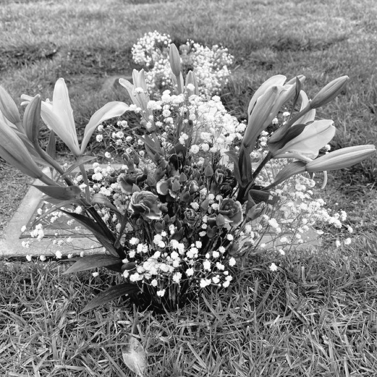 𝐉𝐨𝐱𝐛𝐚𝐢 tweet media