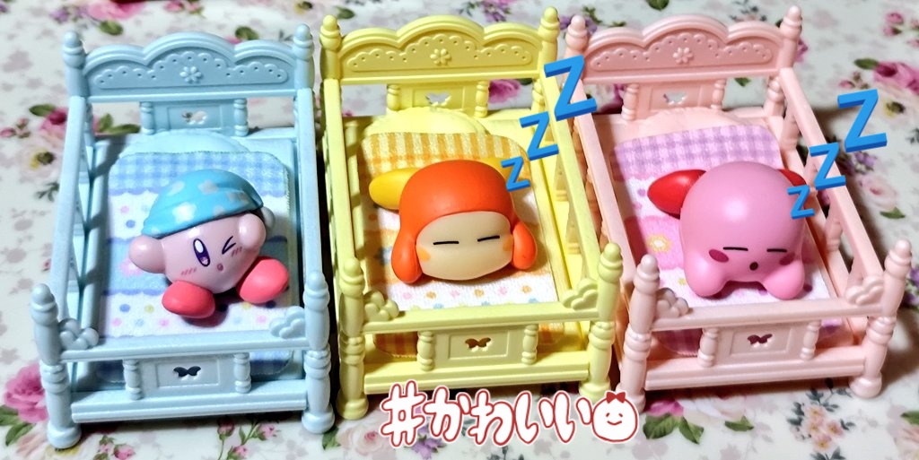 ポヨ猫 tweet media