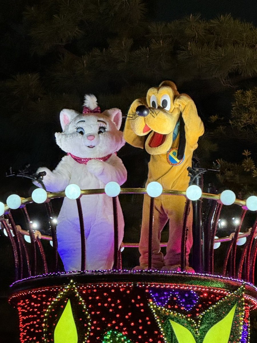 noa_optimist's tweet photo. 会社の先輩がディズニーに行ったとのことでプルートの写真をくれたんですが、隣のマリーの目がヤバすぎてそっちにしか目が行かない…(プルートは可愛い) https://t.co/x62VevYFrB
