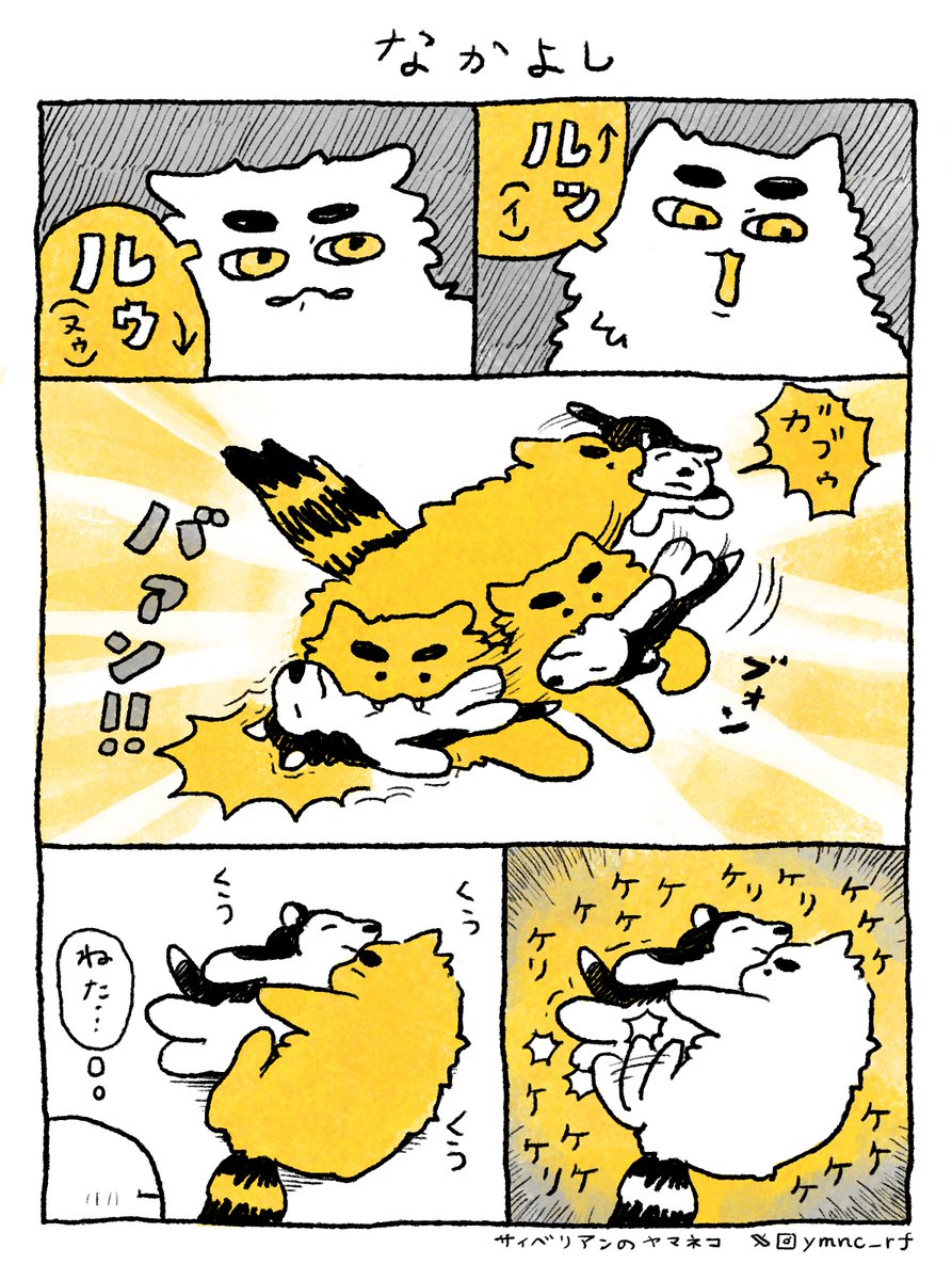 イヌくんとヤマネコ #ヤマネコレポート