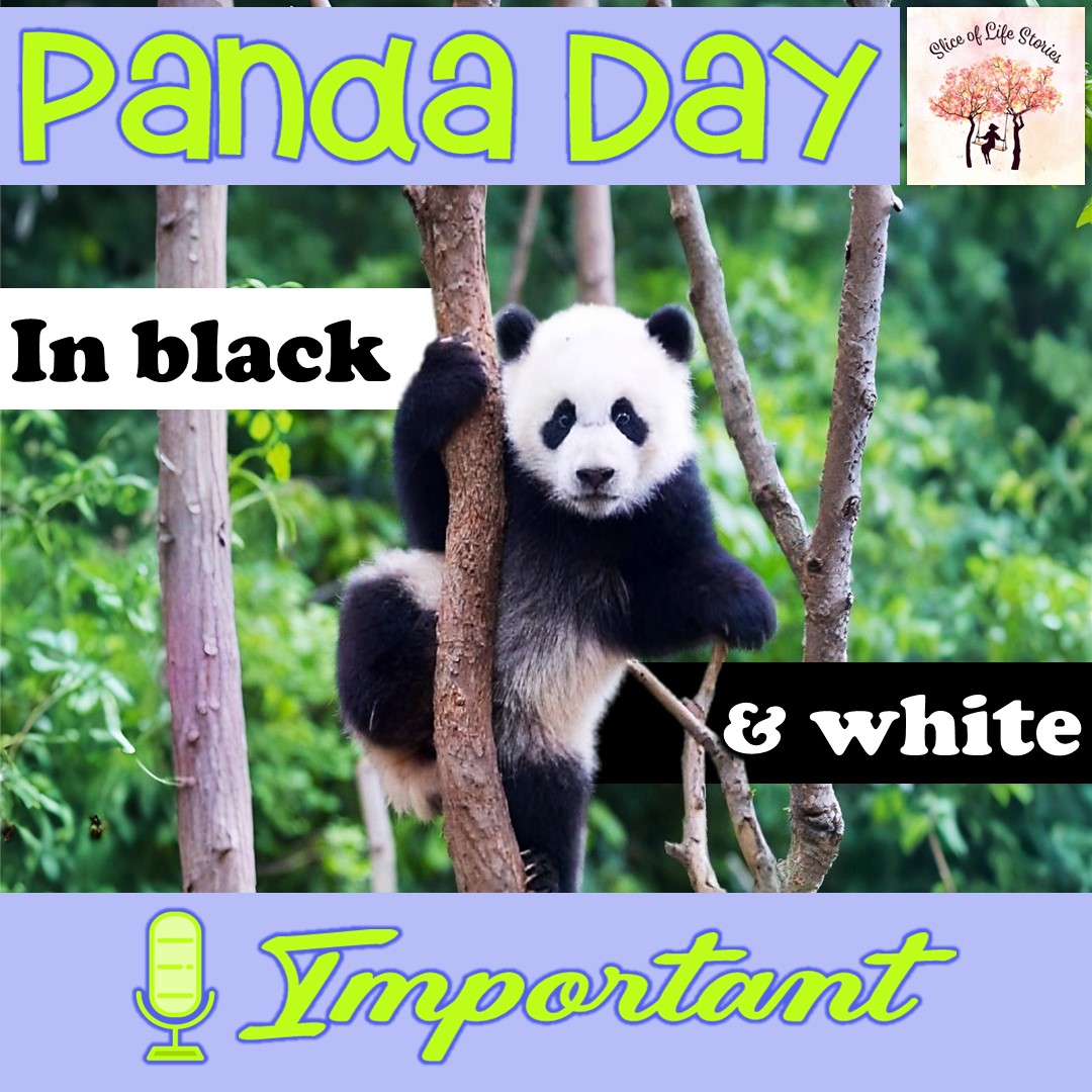 SliceOfLifeStories tweet media