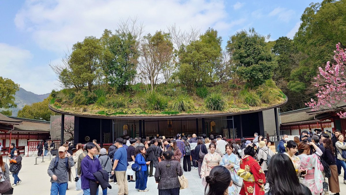 なまはげ🍎太郎 tweet media