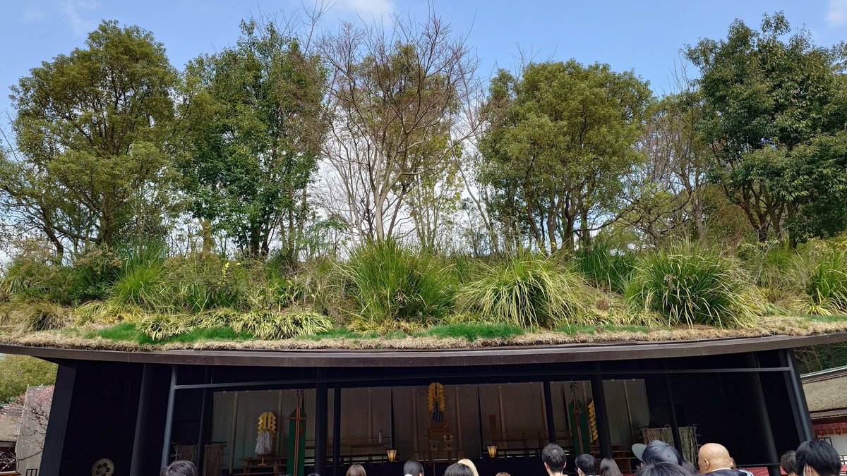 なまはげ🍎太郎 tweet media