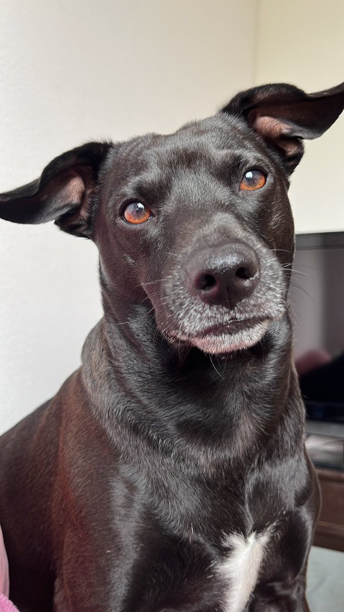 amore 🚬🐭 tweet media