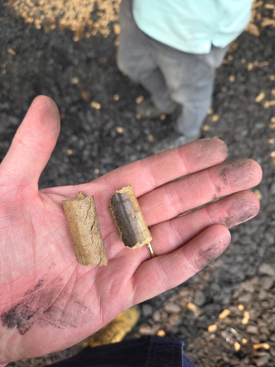 Philip Green OAM tweet media