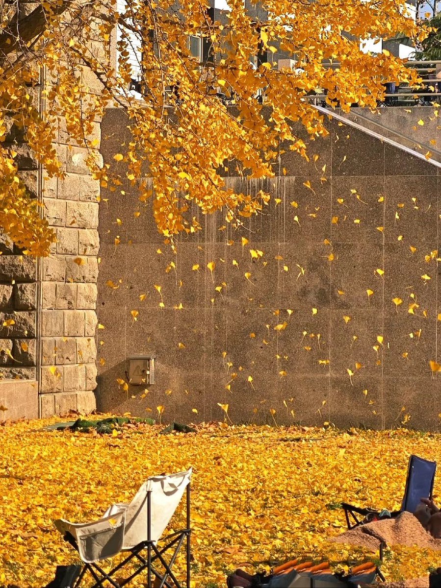 Seda, Petrosyan tweet media