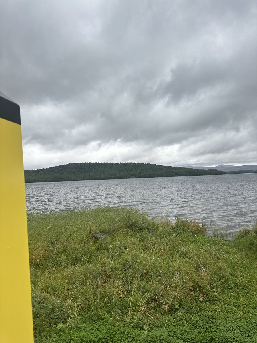 Zayktech tweet media