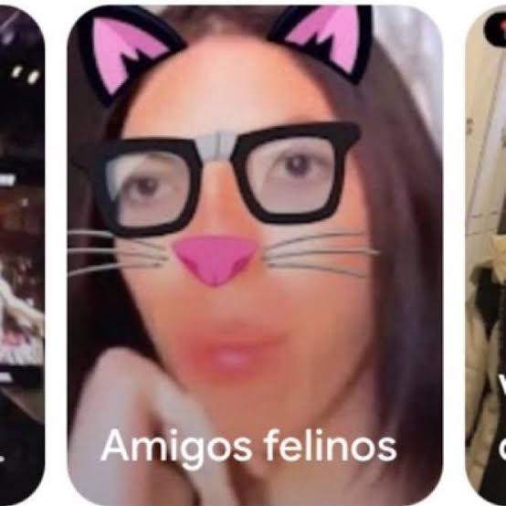 amigos felinos tweet media