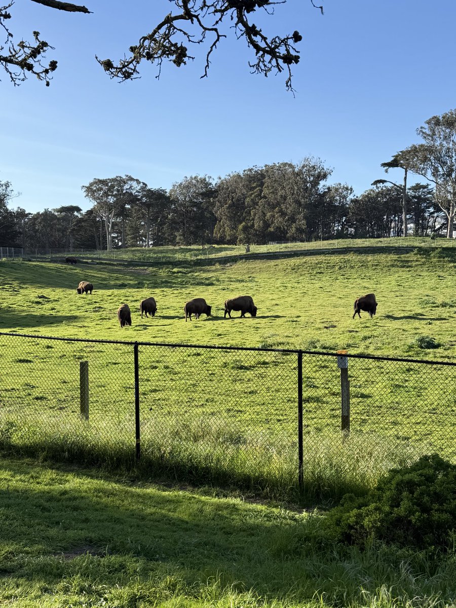 Tom Waite tweet media