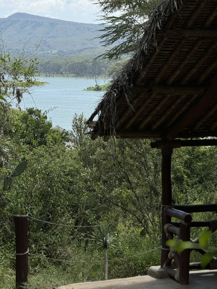 Sir harry🇰🇪™ tweet media