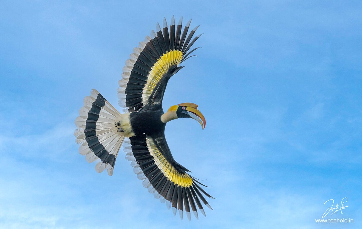 Jayanth Sharma tweet media