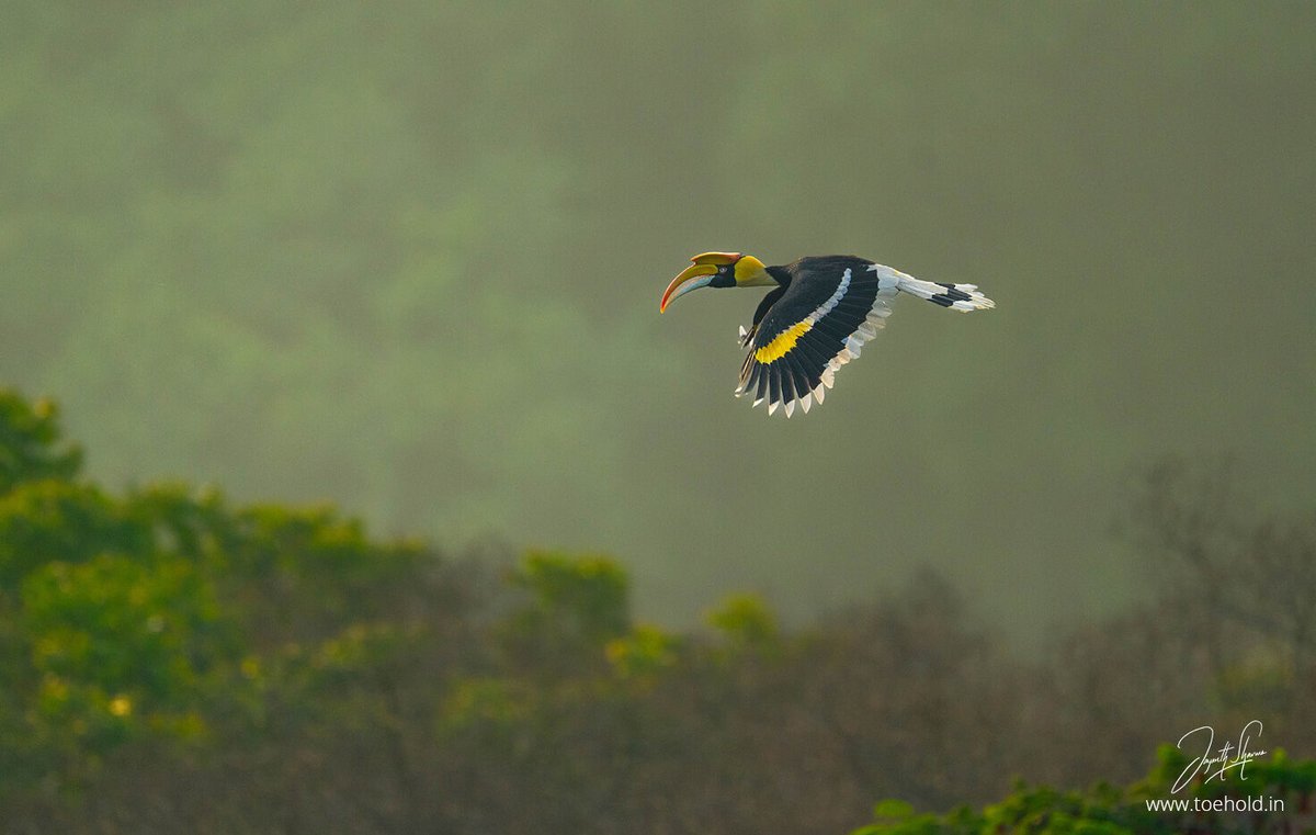 Jayanth Sharma tweet media