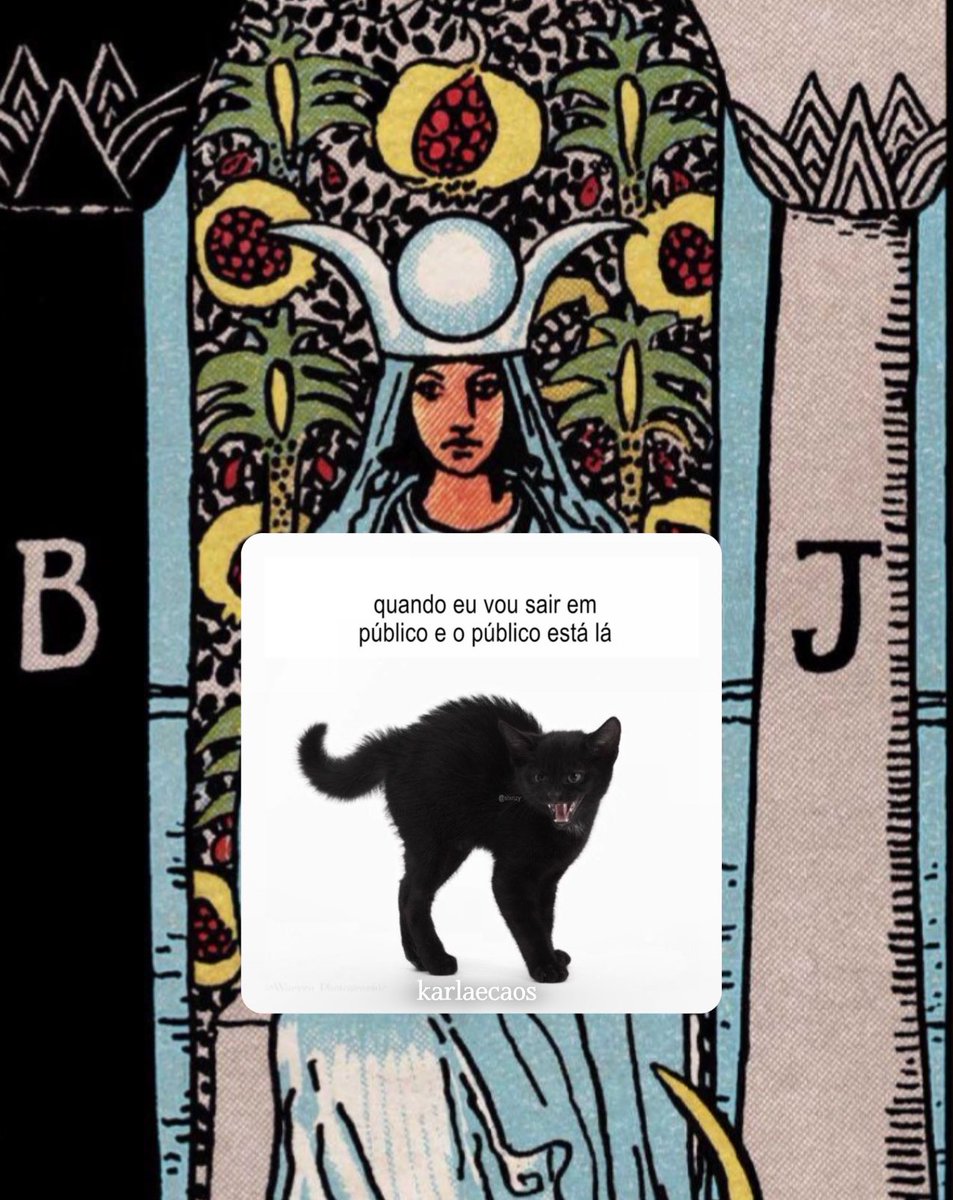 carla tarot tweet media