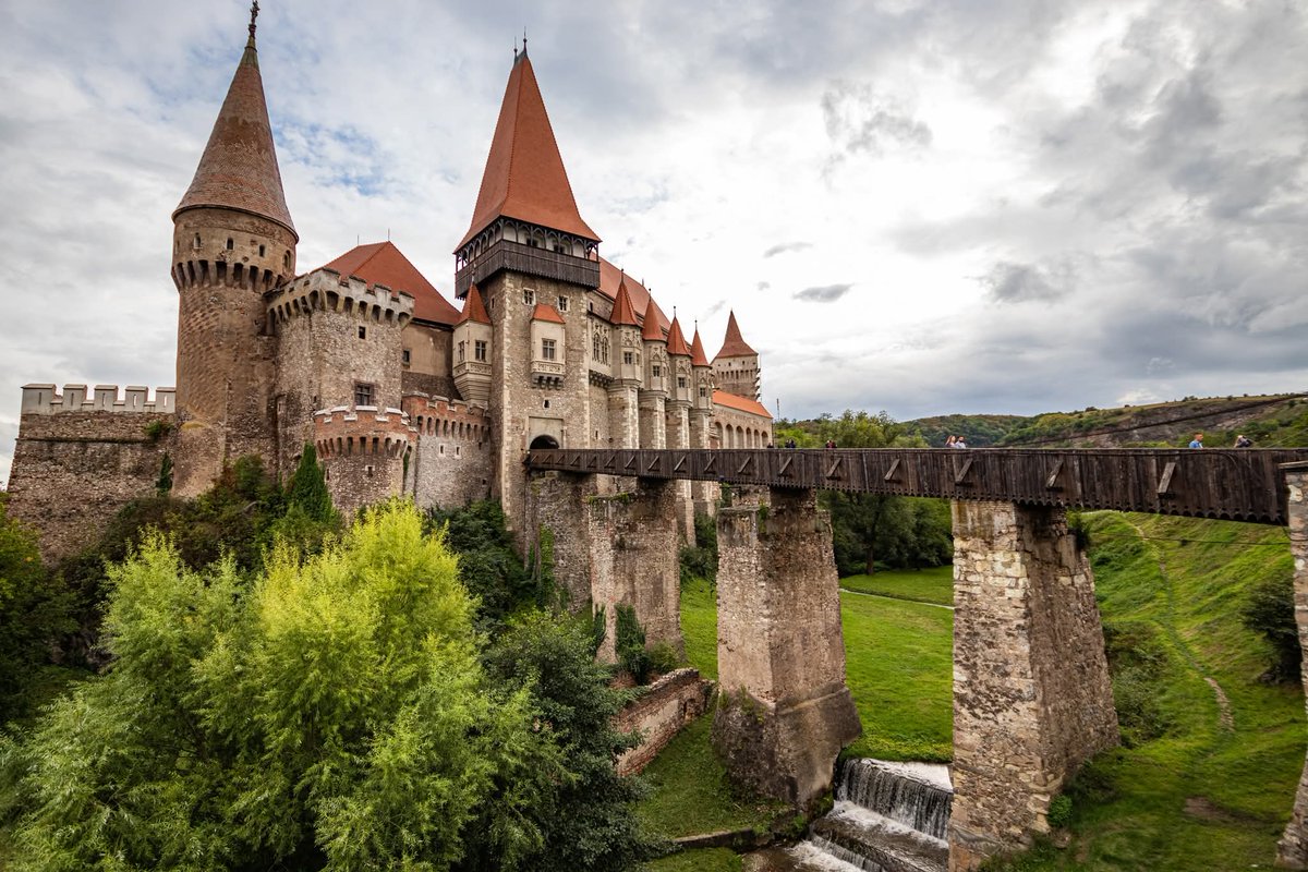 ₿alkan ₿adass tweet media