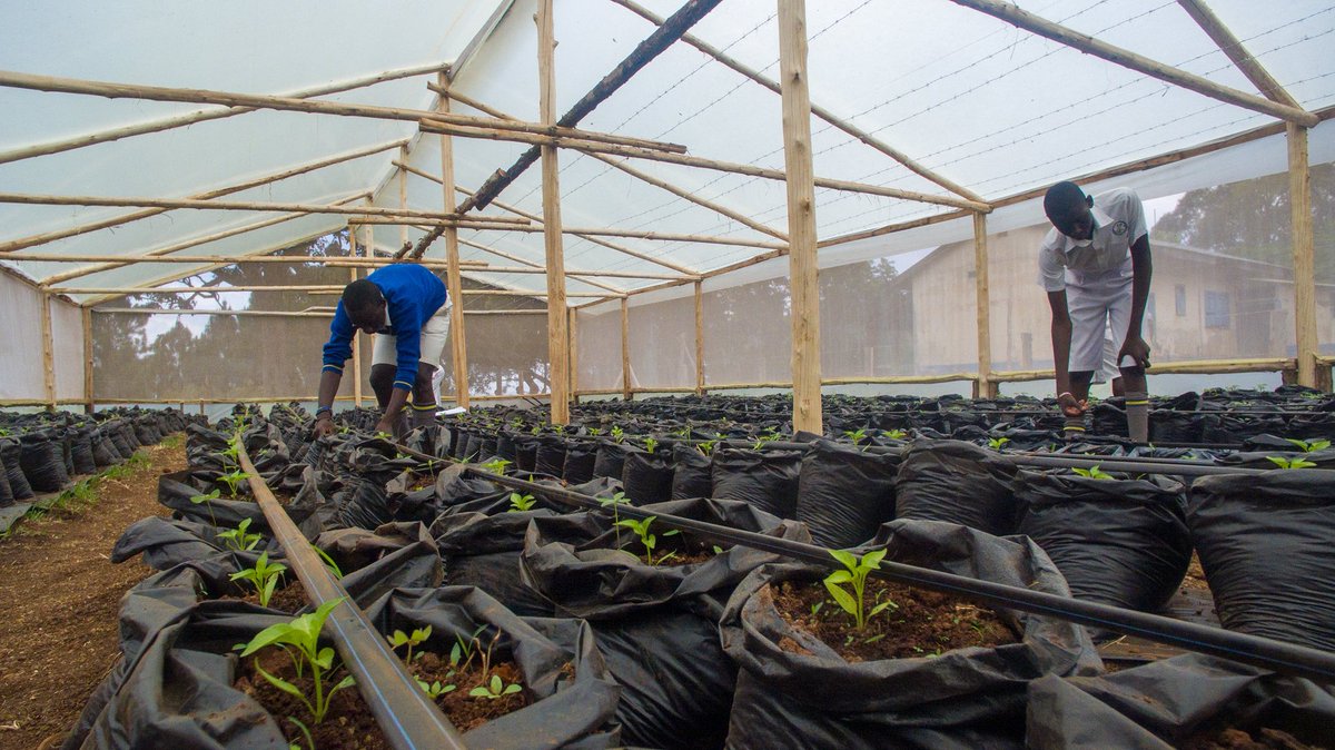 ScoreBeyondLeadershipOrganization tweet media