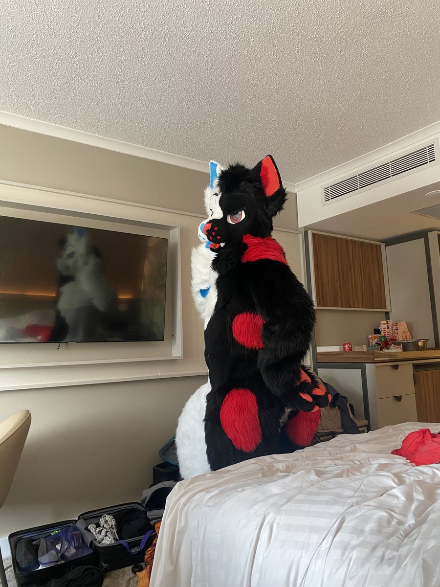 QuietProfesional tweet media