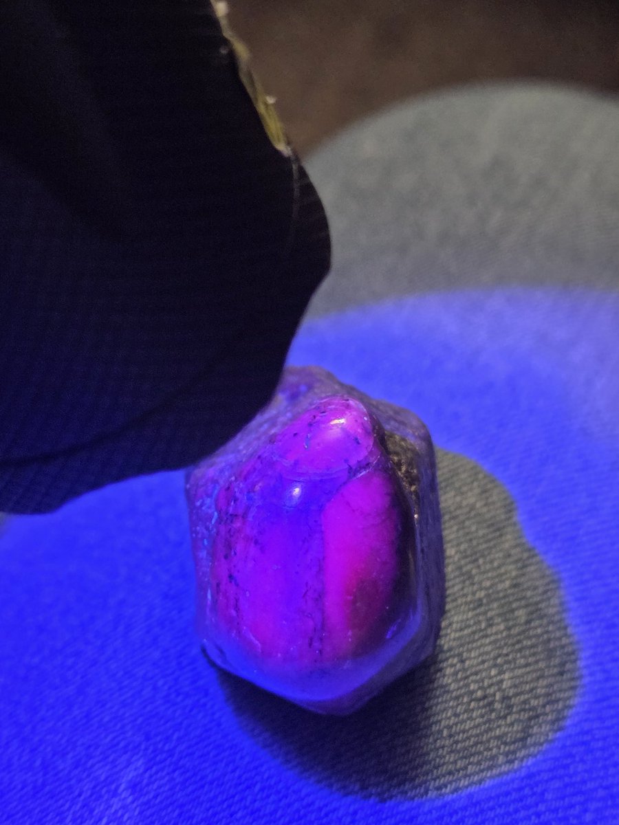 Miranda Price tweet media