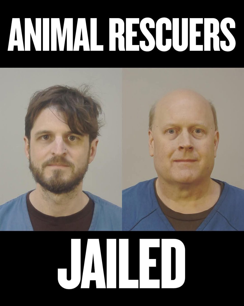 Wayne Hsiung tweet media