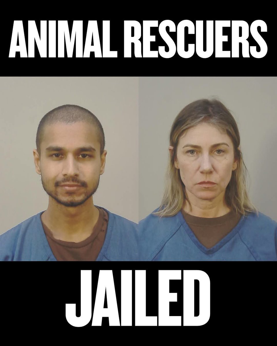 Wayne Hsiung tweet media