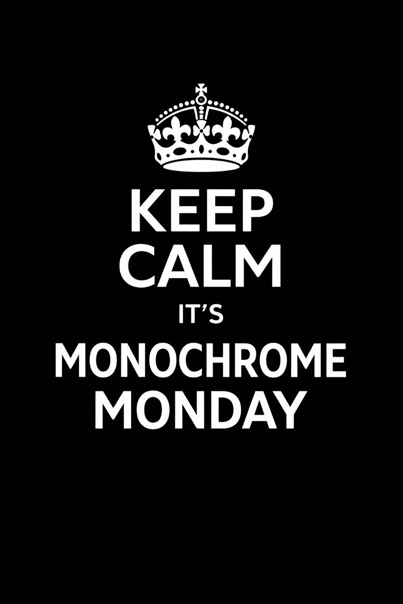 TheBBWLover Promotions 12k tweet media