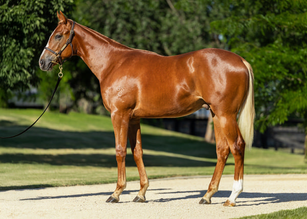 Tara Madgwick tweet media