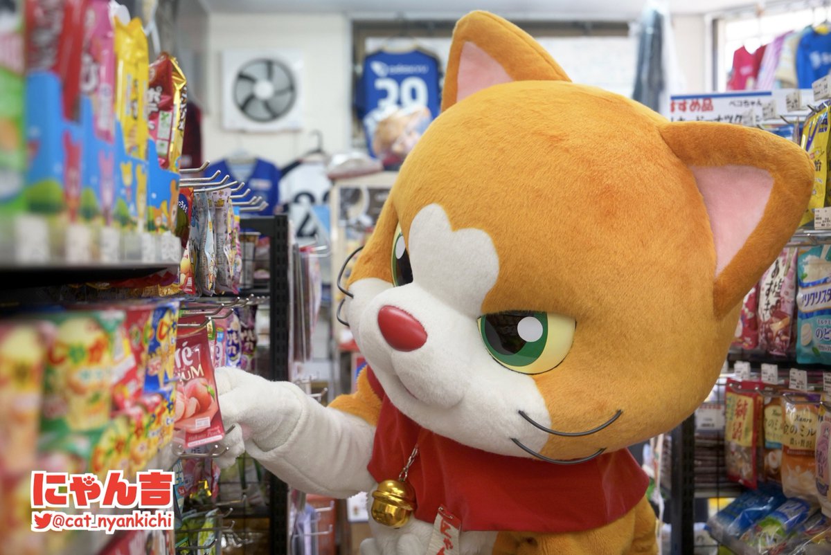 にゃん吉【公式】Nyankichi (@cat_nyankichi) / Posts / X