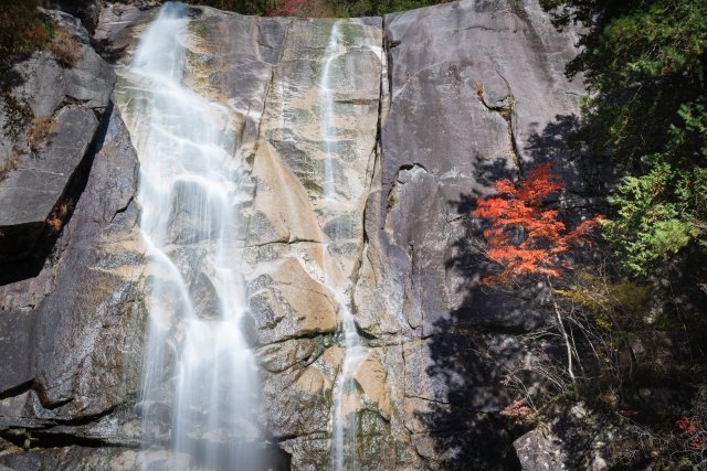 しあわせ信州【公式】 tweet media