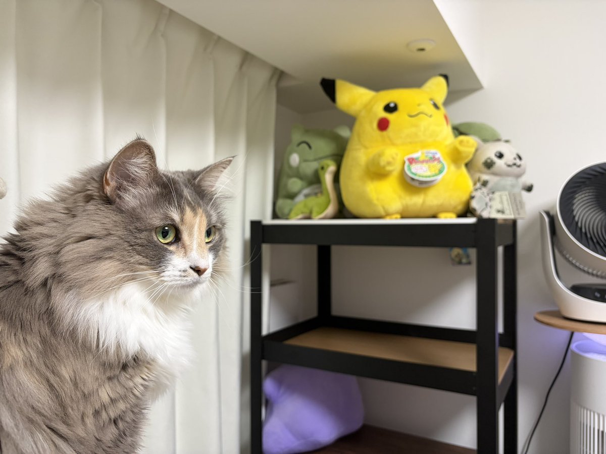 れくーしぇ tweet media